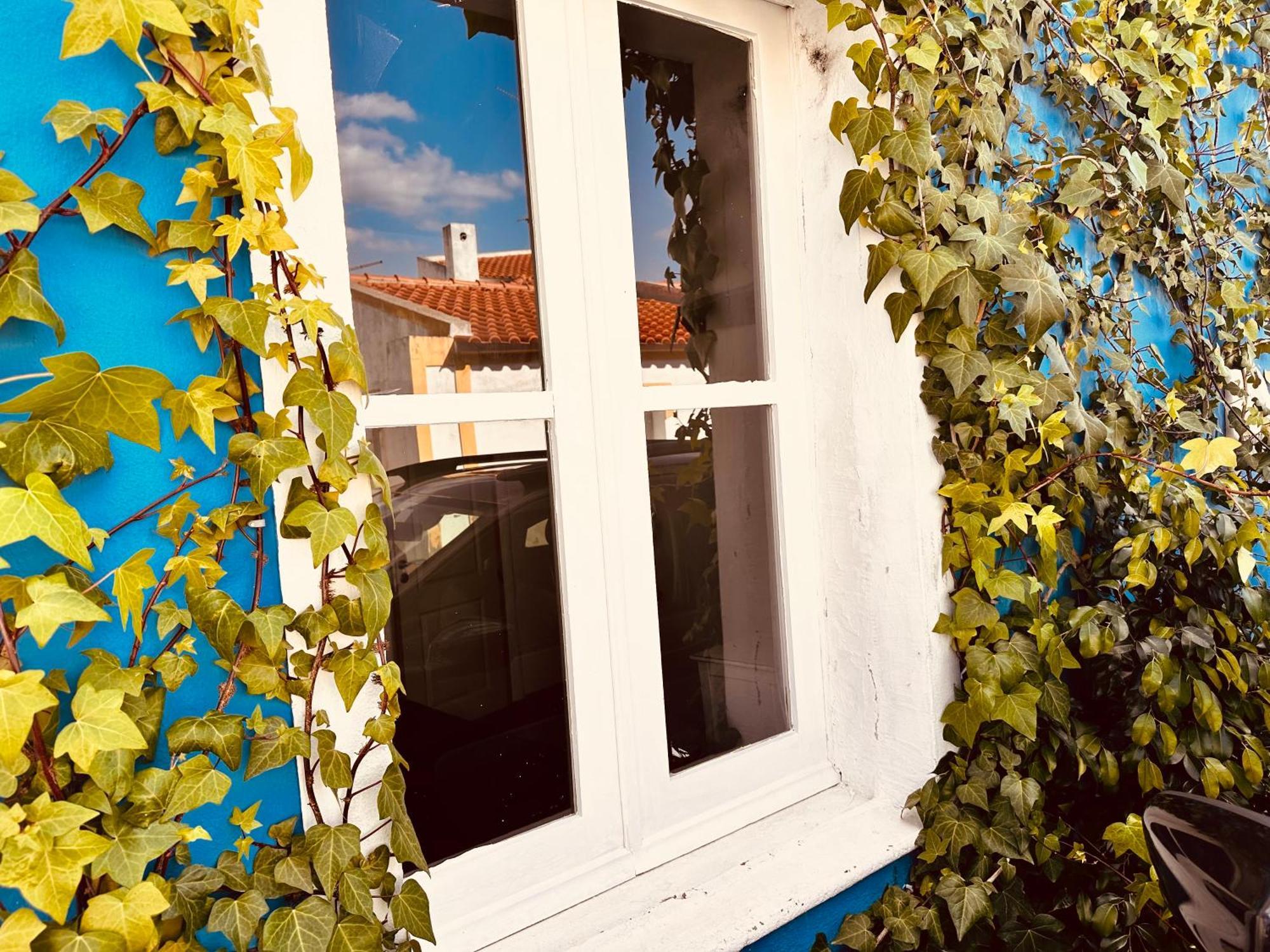 São Pedro do Corval Refugio Do Frade 빌라 외부 사진